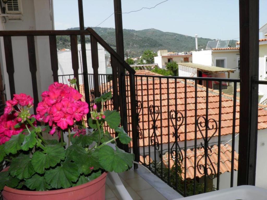 Eleni'S House Skiathos Hotel Exterior photo